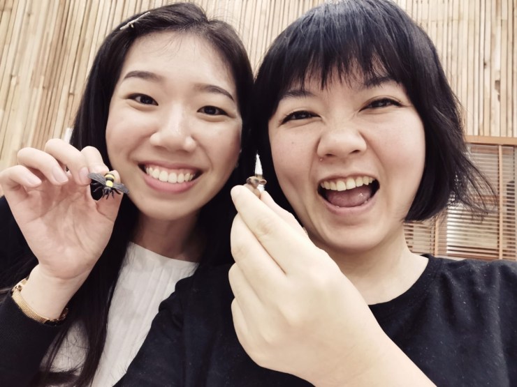 d03d9e1e-4ac6-4a68-8164-86e784a0be38